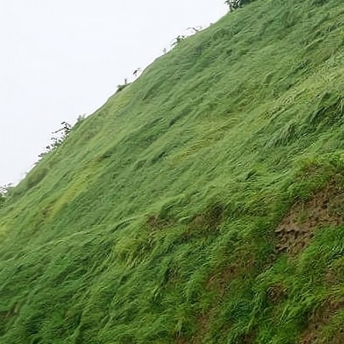 客土噴播 道路邊坡綠化恢復