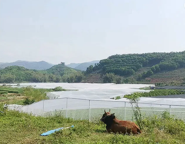 $17]U]70Q@%4HFJM]M@J5UL