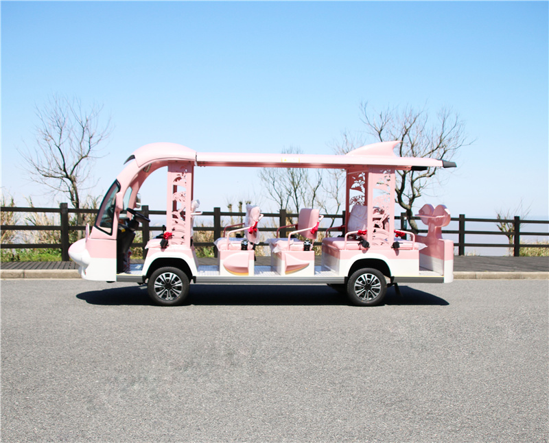卡通海豚觀(guān)光車(chē)價(jià)格