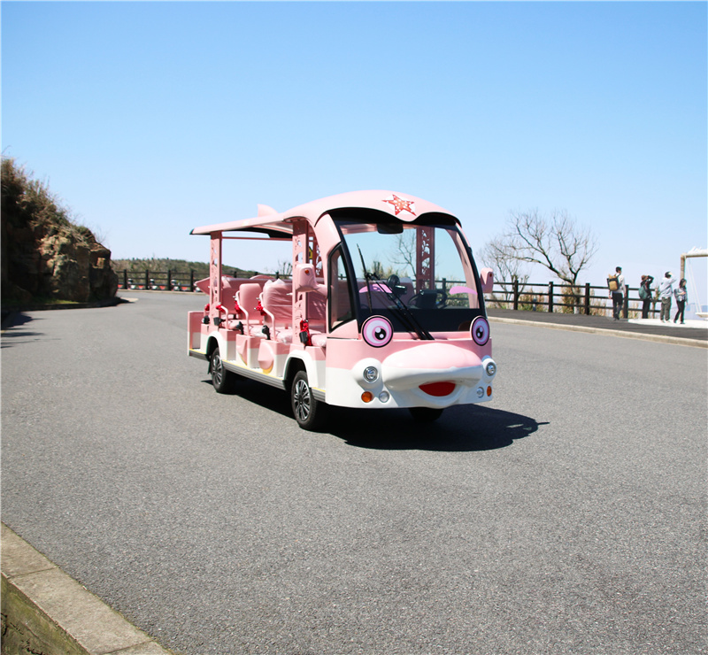 個(gè)性化定制觀(guān)光車(chē)