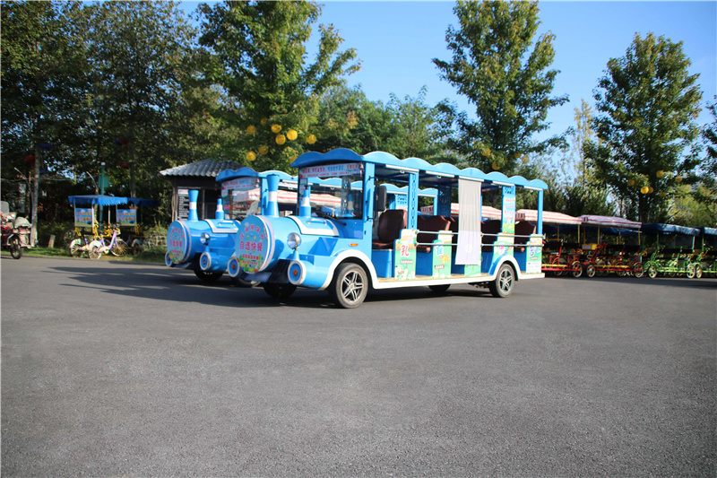 1湖南14座電動(dòng)觀光小火車