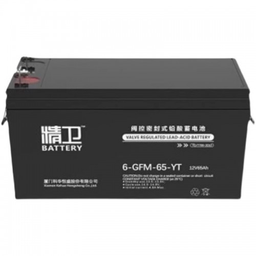 科·華精衛(wèi)蓄電池6-GFM-65-YT免維護12V65AH