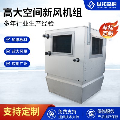 高大I空間新風(fēng)機(jī)組/空調(diào)新風(fēng)機(jī)組/專用空調(diào)新風(fēng)設(shè)備