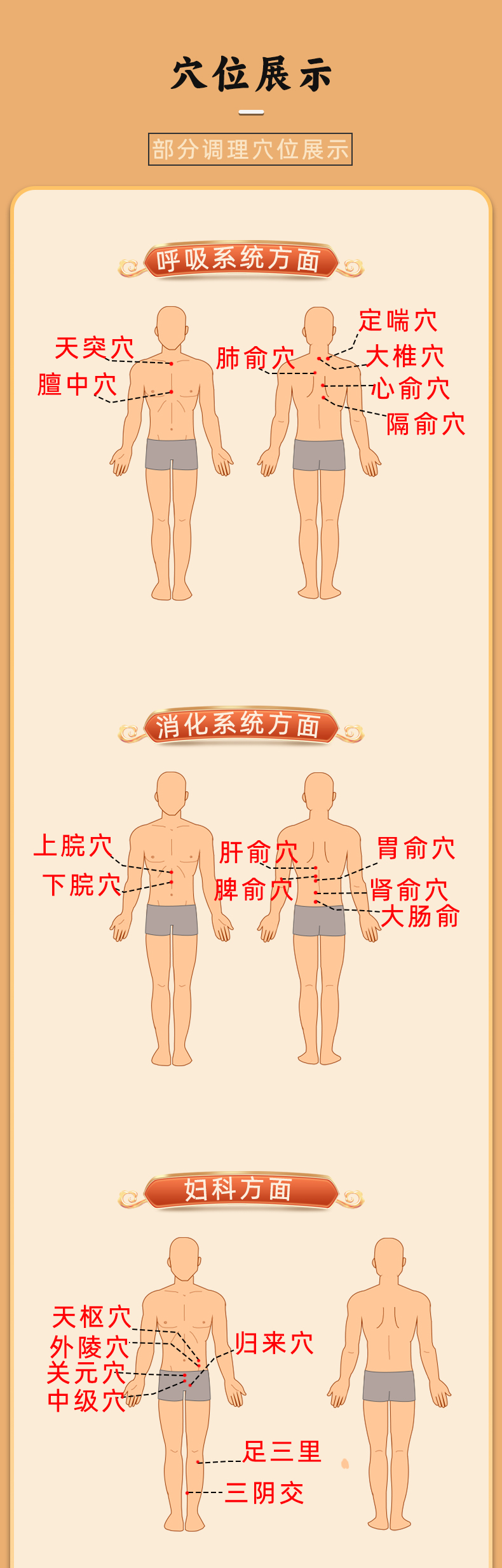 陳濟(jì)堂--三伏貼--花瓣_06